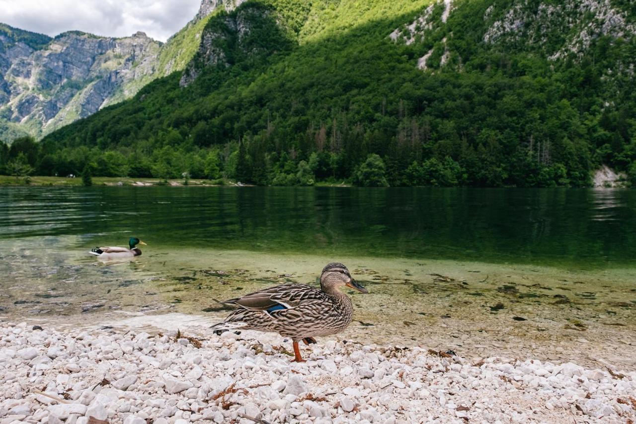 Villa Melody Bohinj Exteriör bild